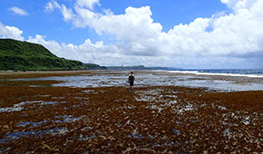 イリグベイ & タガチャンビーチ（Ylig Bay & Tagachang Beach）